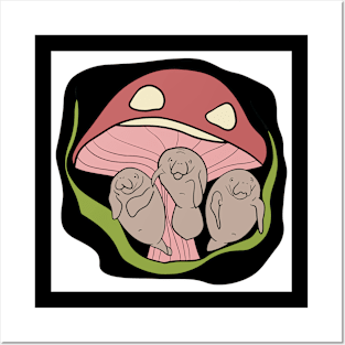 Mushroom Shelter Posters and Art